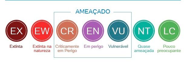 criterios especies extincao