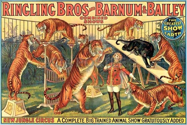 circo barnum 4