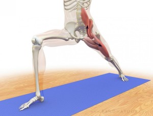 psoas alongado