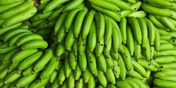 banana verde