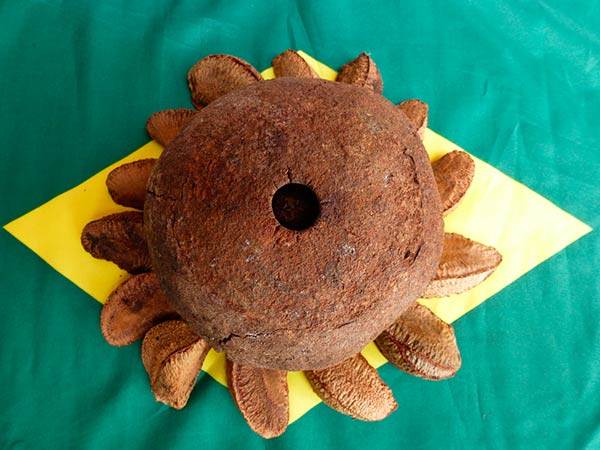 castanha brasil valor