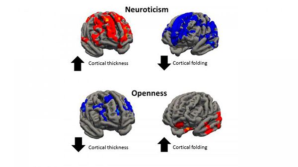 cerebro personalidade