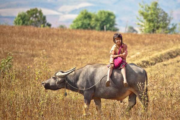 myanmar