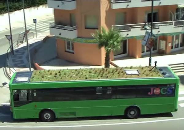 onibus teto verde 2