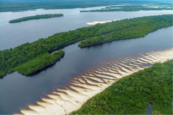 parque nacional amazonia