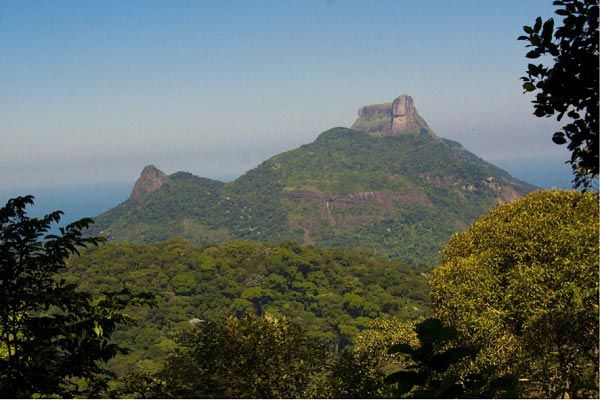 parque nacional tijuca copiar