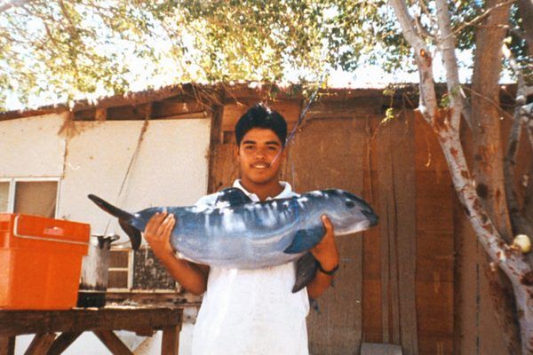 vaquita pescada