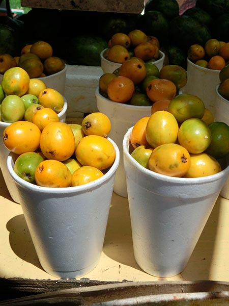 caja feira