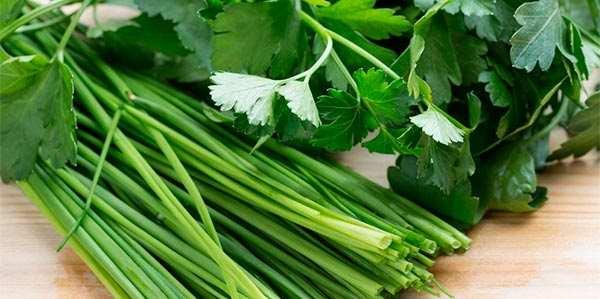 cheiro verde