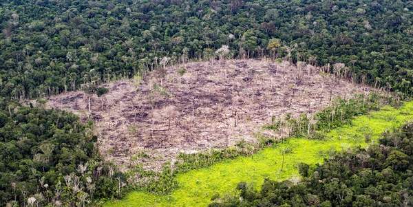 desmatamento amazonia 6