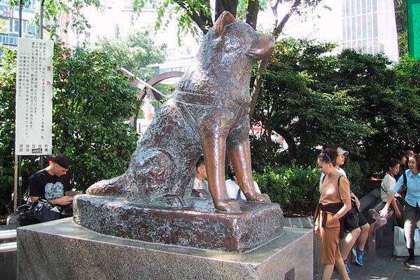 hachiko estatua