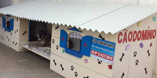 Cãodomínio