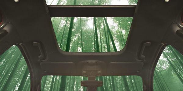 carro-bambu-ford
