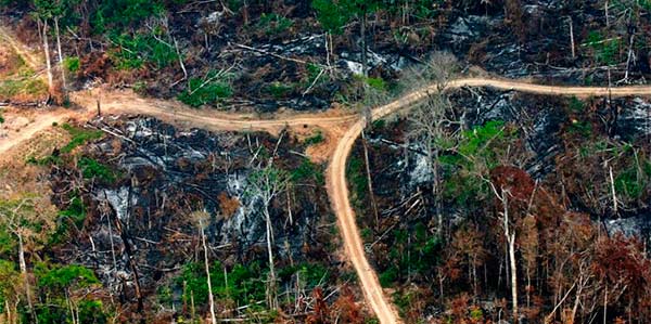 Amazônia