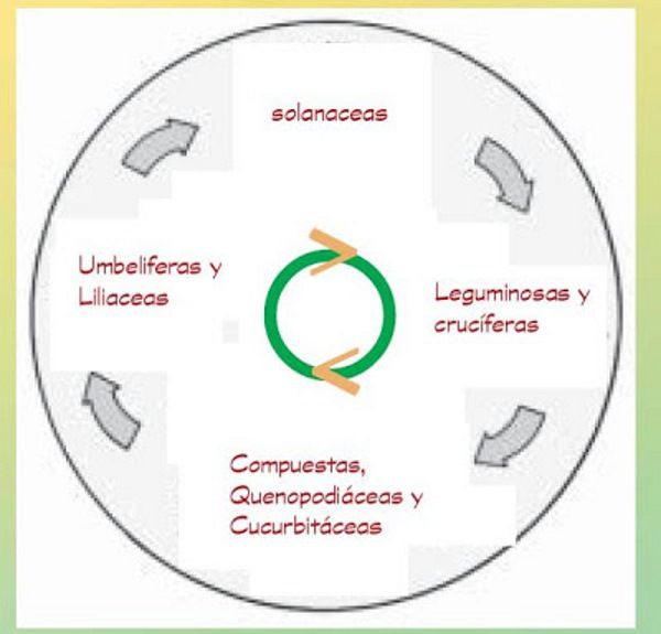 rotaçao cultivos horta 3