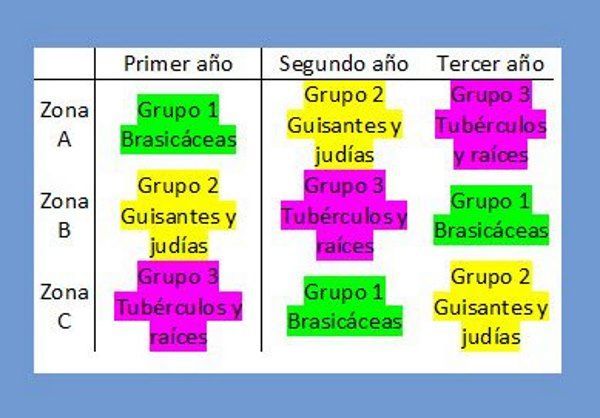 rotaçao cultivos horta 4