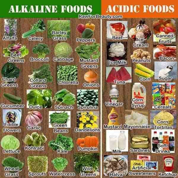alimentos alcalinos 2