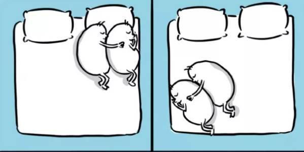 ilustraçoes amor