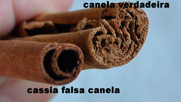 canela verdadeira falsa