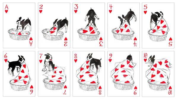 cartas cães 1