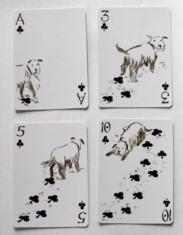 cartas cães 2