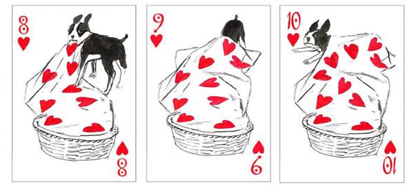 cartas cães 5