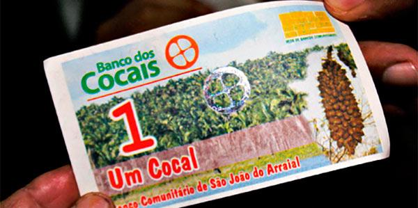 cocal