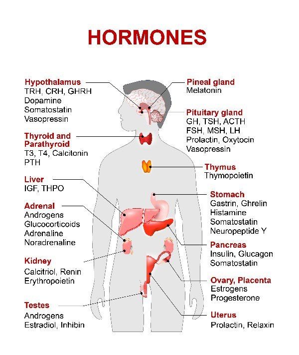 homem hormônios