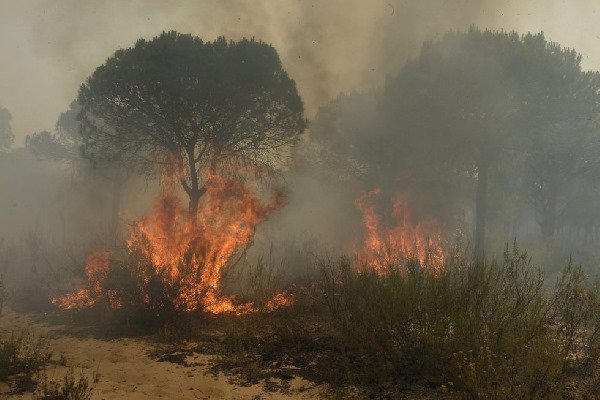incêndio espanha 2