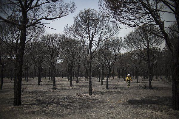 incêndio espanha 3