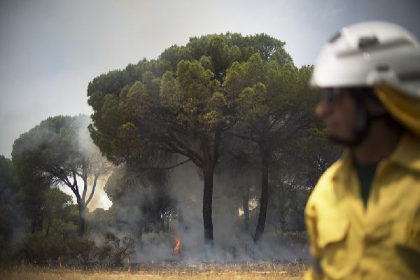 incêndio espanha 8