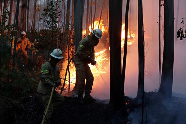 incendio portugal 2