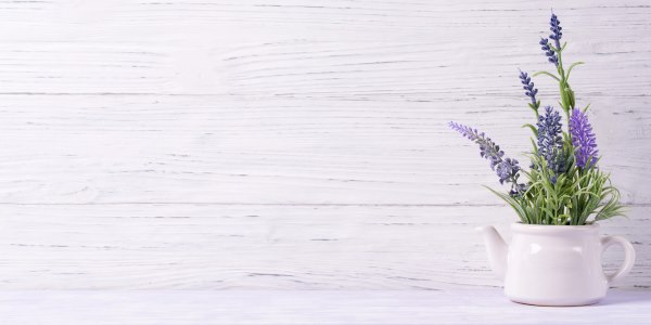lavanda em casa