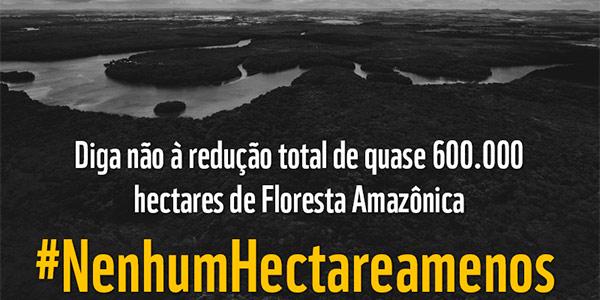MPs do desmatamento