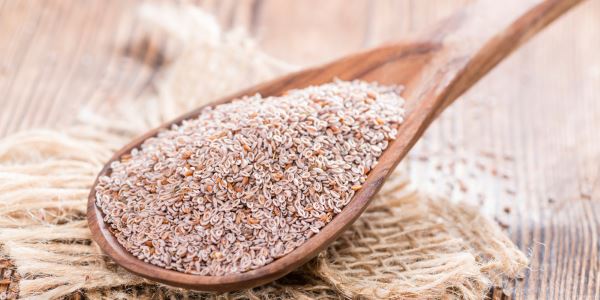 psyllium 2