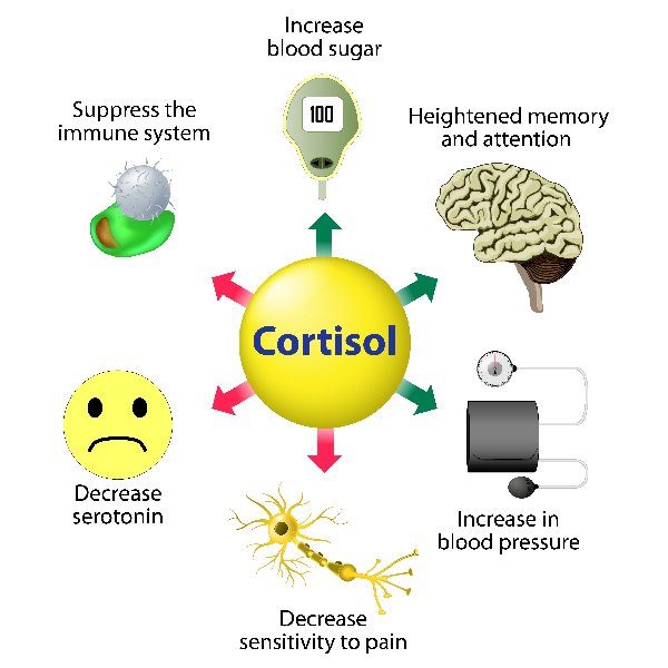 sintomas cortisol