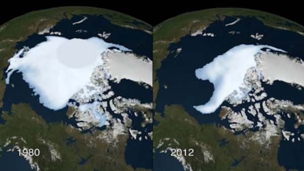 artic comparação