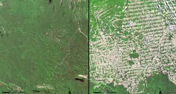 brazil comparação