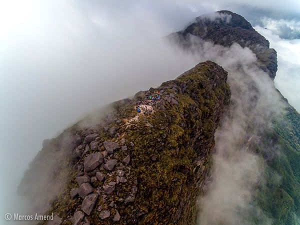 yanomami pico neblina amend