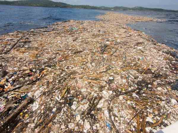 caribe plastico 2