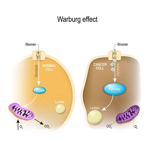 efeito warbung