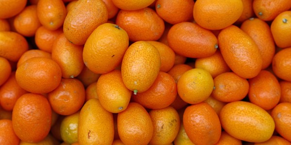 laranja kinkan 2