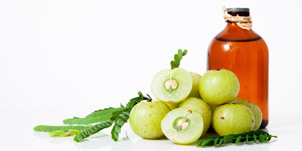 amla-oleo