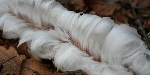 cabelo de gelo