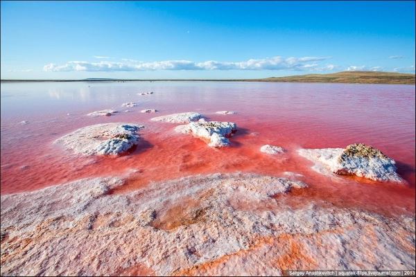 lago koyashskoye 7