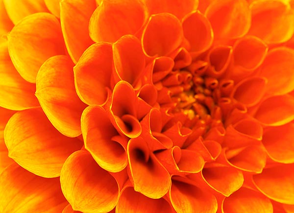 cor laranja
