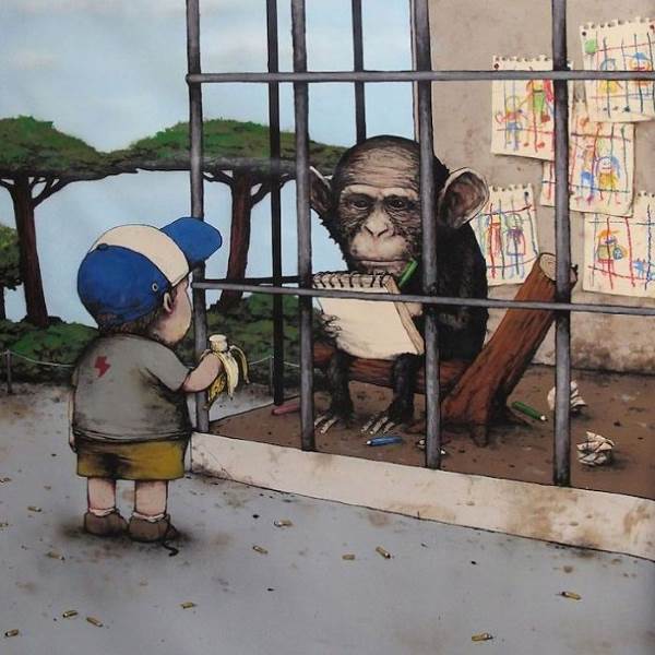 dran 6