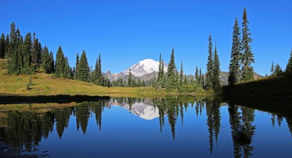 monte rainier