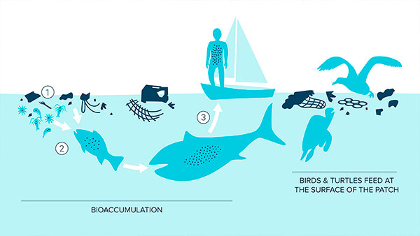 ilha plastico ecossistema