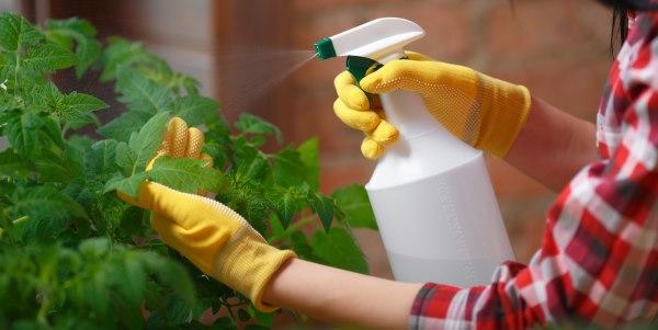 bicarbonato para plantas